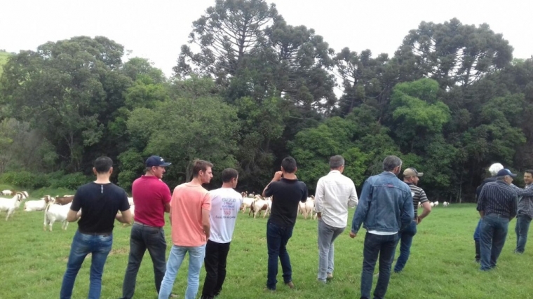 Secretaria de Agropecuária e Emater de Nova Laranjeiras promovem excursão para conhecer Caprivir em Virmond